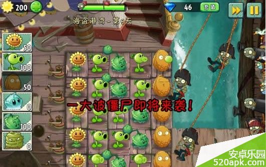 植物大战僵尸2海盗湾第9天攻略