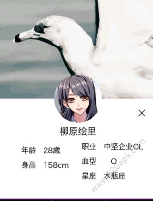 秘密关系开始啦柳原绘里剧情怎么通关？柳原绘里完美剧情攻略