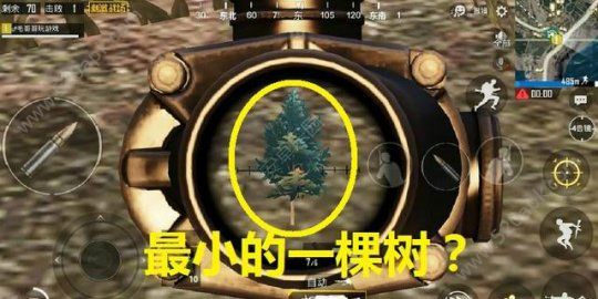 刺激战场迷你小树在哪里？可爱精致的最小树