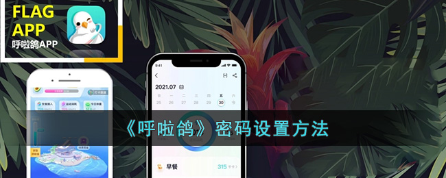 《呼啦鸽》密码设置方法
