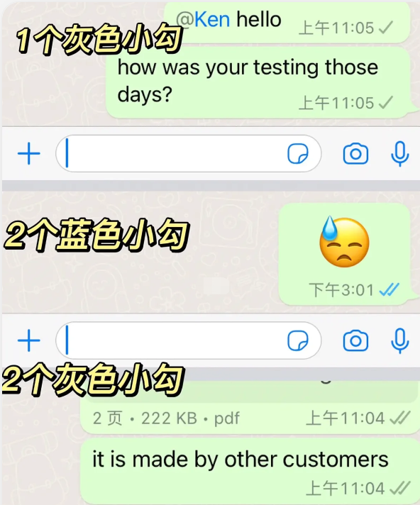 《WhatsApp》一个勾和两个勾的区别分享