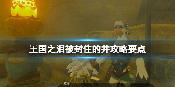 王国之泪被封住的井任务在哪接[被封住的井攻略要点]