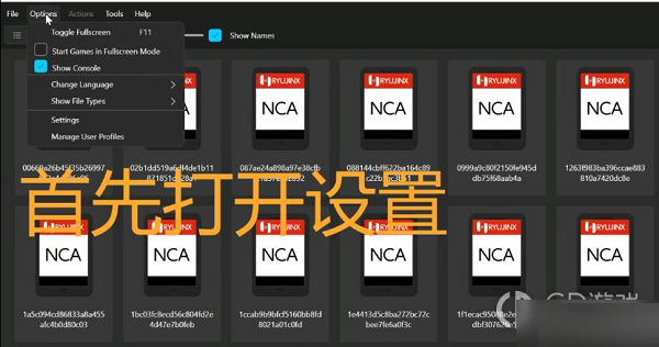 塞尔达传说王国之泪模拟器设置中文[塞尔达传说王国之泪模拟器设置在哪]