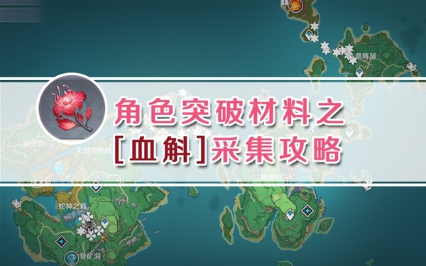 原神3.7血斛采集路线分享[原神血斛在哪采集]