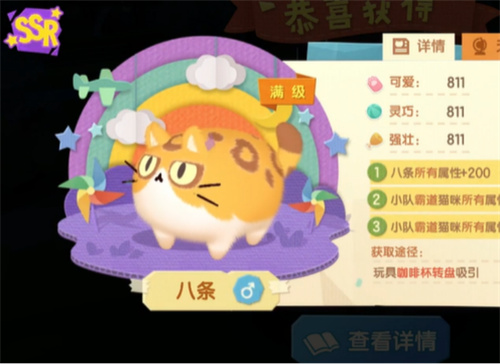 猫咪公寓2养什么猫最好[最好的猫咪推荐]