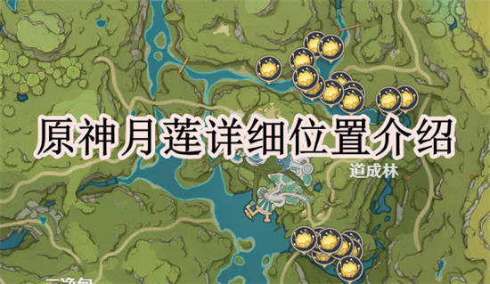 原神3.8月莲收集路线有哪些[原神3.8月莲分布图]