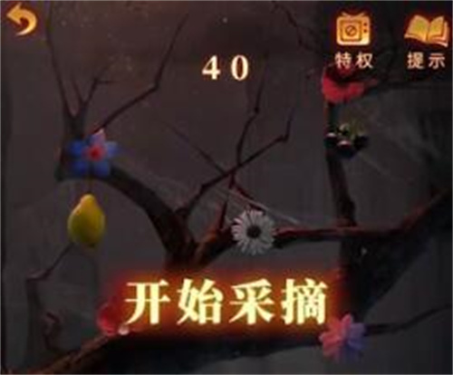 无间梦境摘水果顺序[无间梦境摘水果流程]