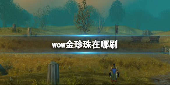 wow金珍珠在哪刷[魔兽世界金珍珠获取方法]