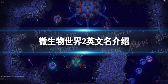 微生物世界2steam叫什么[微生物世界2英文名介绍]