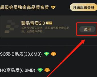 QQ音乐怎么开启臻品音质2.0