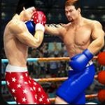 Tag Boxing拳击明星赛中文版