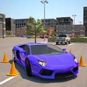 Driving School 3D Parking(驾校3D停车场)